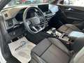 Audi Q5 SPB 40 TDI quattro S tronic S line plus Grigio - thumbnail 7
