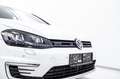 Volkswagen Golf GTE 1,4 PHEV Bianco - thumbnail 4