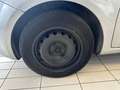 Fiat Punto Punto III 2012 5p 1.3 mjt II 16v Lounge eco s Silber - thumbnail 11