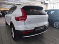 Volvo XC40 (2017-->) - XC40 B3 automatico Essential Bianco - thumbnail 6