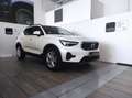 Volvo XC40 (2017-->) - XC40 B3 automatico Essential Bianco - thumbnail 1