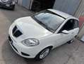 Lancia Ypsilon 1.2 8v Ego - thumbnail 11