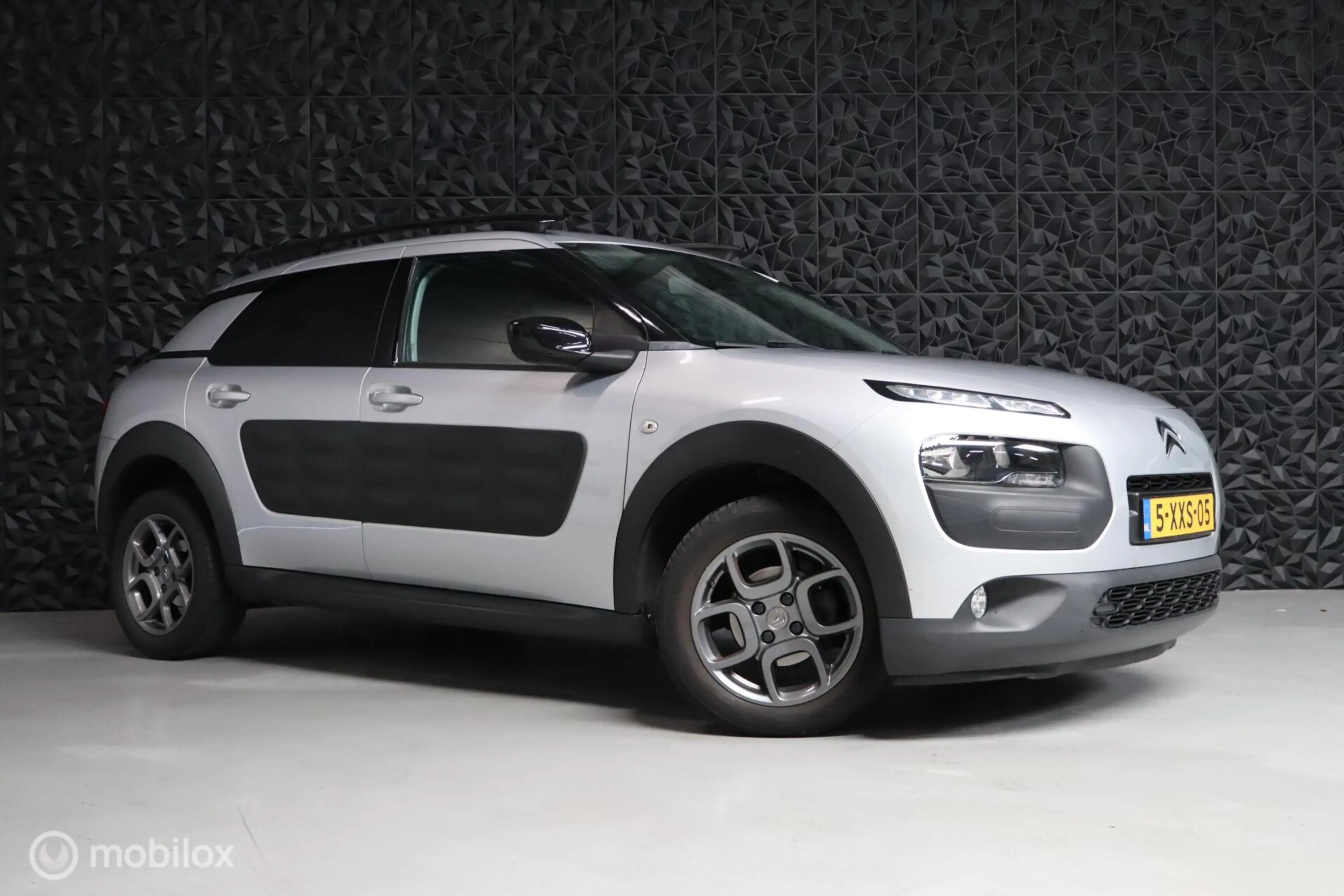 Citroen C4 Cactus 1.2 PureTech Shine | Camera | AC | Cruise