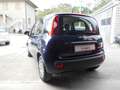 Fiat Panda Panda 1.0 hybrid Easy x NEO PATENTATI Blu/Azzurro - thumbnail 4