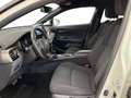 Toyota C-HR I 2016 1.8h Trend 2wd e-cvt Bianco - thumbnail 9