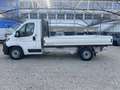 Citroen Jumper 35L2S 140cv Cassone fisso mm 3600 Blanc - thumbnail 5