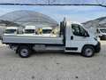 Citroen Jumper 35L2S 140cv Cassone fisso mm 3600 Blanc - thumbnail 4