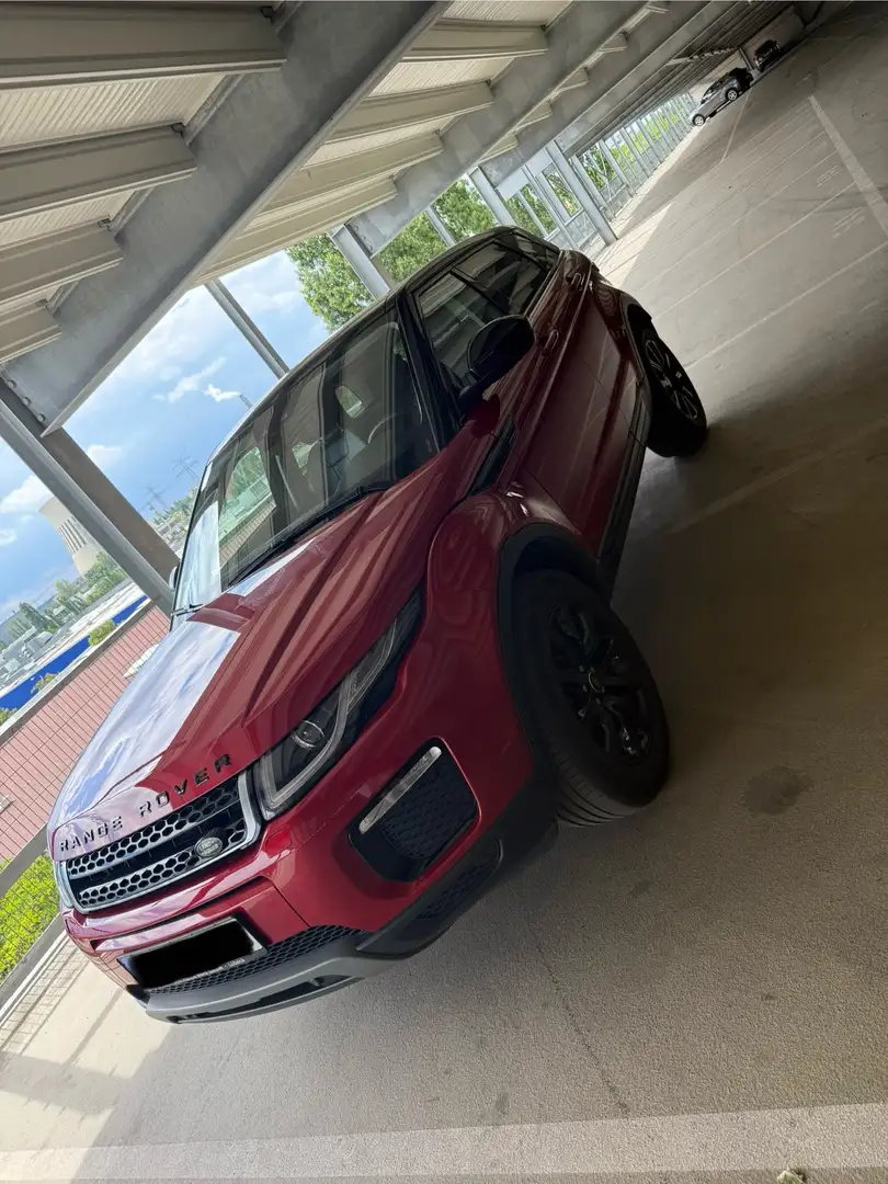 Land Rover Range Rover Evoque TD4 Aut. Black-Edition - 2