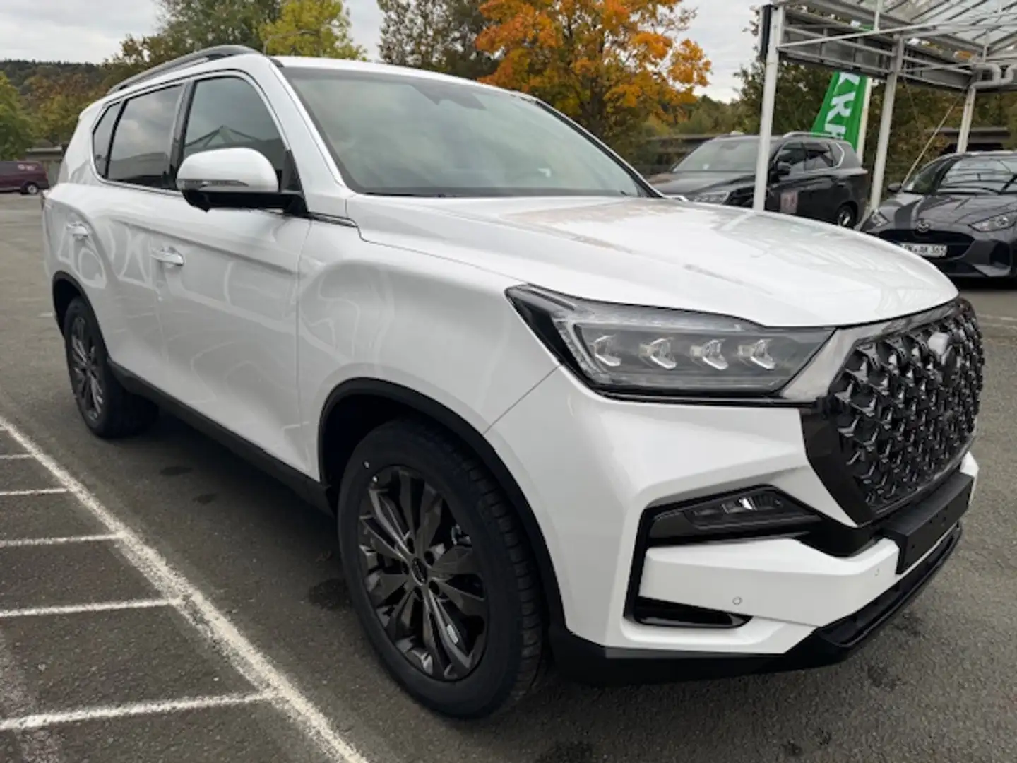 KGM Rexton Weiß - 2