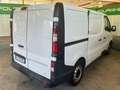 Renault TRAFIC .....PRoblemi consumo olio Blanc - thumbnail 4