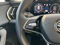 Skoda Kodiaq 1.5 TSI PHEV Tour Edition 204pk | Stoelverwarming Blauw - thumbnail 19