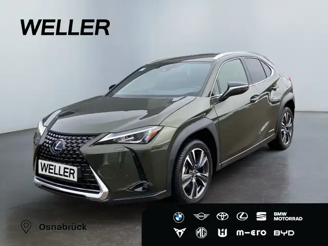 Lexus UX 250h Style Edition *Bi-LED*ACC*CAM*SHZ*CarPlay*