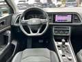 SEAT Ateca 1.5 TSI ACT Xperience OPF Beats Full Link Gris - thumbnail 20