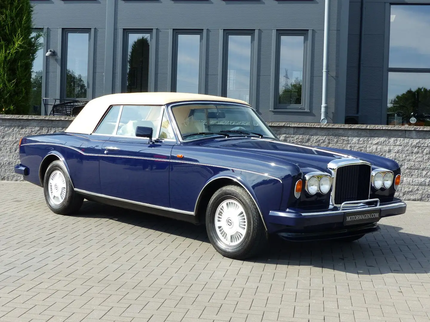 Bentley Continental Cabrio*Neuwagen-nur 130 KM* Blau - 1