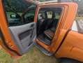 Ford Ranger Ranger Autm. Wildtrak Bronz - thumbnail 7