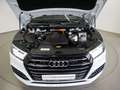 Audi Q5 55 TFSI e quattro S line S tro. LED virt. Cock. Weiß - thumbnail 19