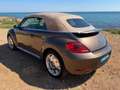 Volkswagen Beetle Cabrio 1.2 TSI Design 77kW Marrón - thumbnail 7