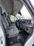 Ford Transit Kasten 350 L3 Trend  Technologie-Paket Weiß - thumbnail 11