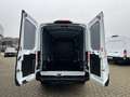 Ford Transit Kasten 350 L3 Trend  Technologie-Paket Weiß - thumbnail 6
