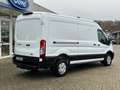 Ford Transit Kasten 350 L3 Trend  Technologie-Paket Weiß - thumbnail 4