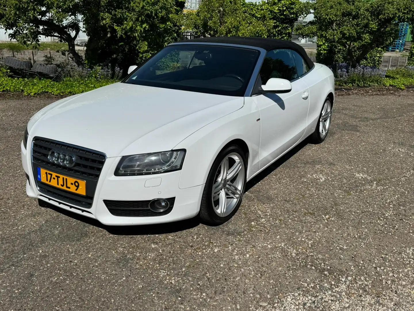 Audi A5 A5 2.0 TFSI q. Pro L. S Wit - 1