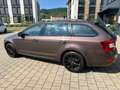 Skoda Octavia Combi  4x4 AHK NAVI Braun - thumbnail 8