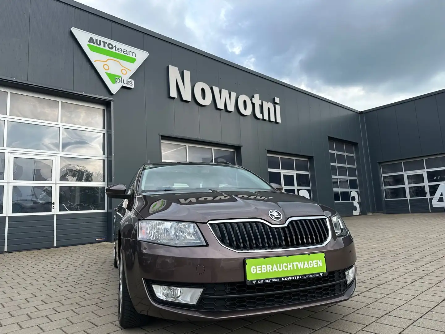 Skoda Octavia Combi Ambition 4x4 Braun - 2
