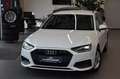 Audi A4 Avant 35TDI S-tronic LED~NaviPlus~Massage~RFK Weiß - thumbnail 1