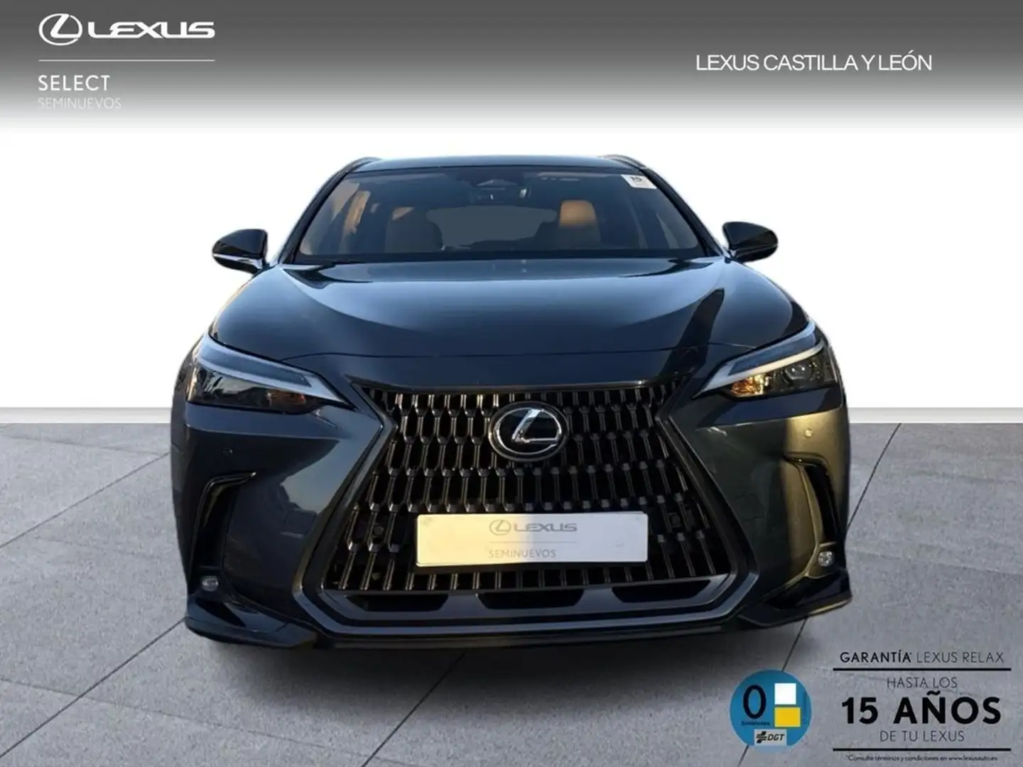 Lexus NX 450h+ 450H + PREMIUM+ 4WD Gris - 2