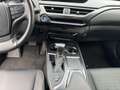 Lexus UX 250h LEXUS UX 250 Hybrid 4WD Midnight - thumbnail 21