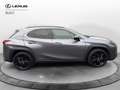 Lexus UX 250h LEXUS UX 250 Hybrid 4WD Midnight - thumbnail 7
