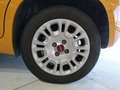Fiat Panda 1.0 firefly hybrid s - NEOPATENTATI Orange - thumbnail 19