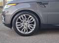 Land Rover Range Rover Sport 3.0 tdv6 HSE / Tettuccio Panoramico / Euro6 Gris - thumbnail 25