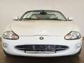 Jaguar XK8 CabrioletExclusive *Weiss Ivory* Bianco - thumbnail 6