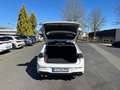 Volkswagen Golf VIII R 2.0 TSI 4Motion DSG, NAVI, PANO, AKR Weiß - thumbnail 15