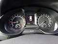 Skoda Octavia RS 4x4 Weiß - thumbnail 14