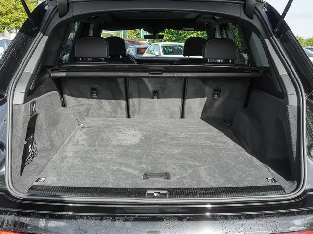 Audi Q7 view 19