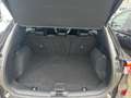 Ford Kuga 2.5 PHEV ST-Line X Winter-Paket/LED/Tempomat Gris - thumbnail 12