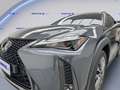 Lexus UX 250h Hybrid 4WD Design Gris - thumbnail 6