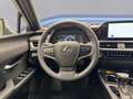 Lexus UX 250h Hybrid 4WD Design Grigio - thumbnail 11