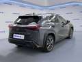 Lexus UX 250h Hybrid 4WD Design Gris - thumbnail 4