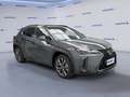 Lexus UX 250h Hybrid 4WD Design Gris - thumbnail 2