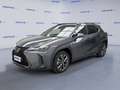 Lexus UX 250h Hybrid 4WD Design Gris - thumbnail 1