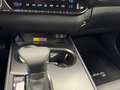 Lexus UX 250h Hybrid 4WD Design Gris - thumbnail 20