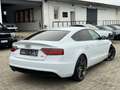 Audi A5 Sportback 3.0 TDI quattro S-Line Edition Plus Gris - thumbnail 5