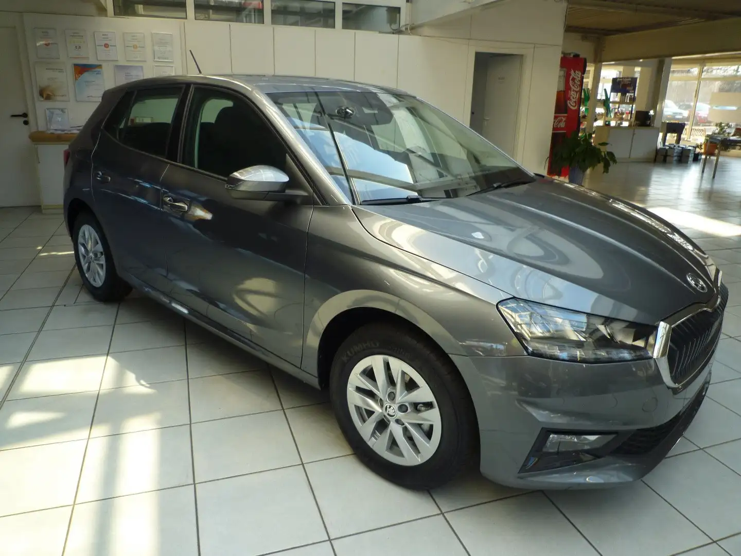 Skoda Fabia Selection Plus 130 Jahre Grau - 2