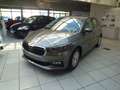 Skoda Fabia Selection Plus 130 Jahre Grau - thumbnail 1