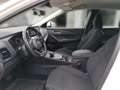 Nissan Qashqai QASHQAI Acenta 1.3 DIG-T MHEV 158 PS Xtronic 4x2 NC Winter Weiß - thumbnail 8