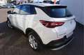 Opel Grandland X 1.6 Turbo Hybrid Elegance Automaat Blanc - thumbnail 3