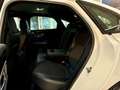 Jaguar XF 20d R-SPORT *RATE 175,- € AWD   NAVI  LED CAM Weiß - thumbnail 14